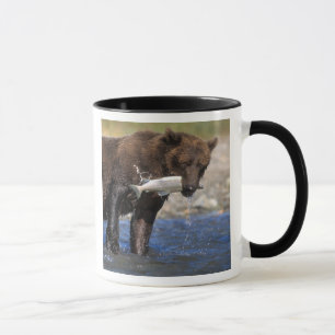 Braunbär, Grizzlybär, Lachsfang, Tasse