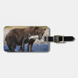 Braunbär, Grizzlybär, mit Lachsfang, Gepäckanhänger