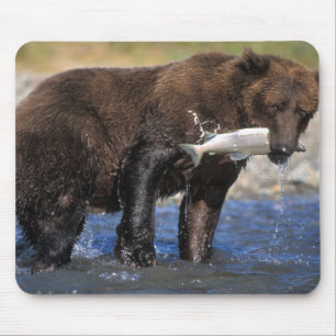 Braunbär, Grizzlybär, mit Lachsfang, Mousepad