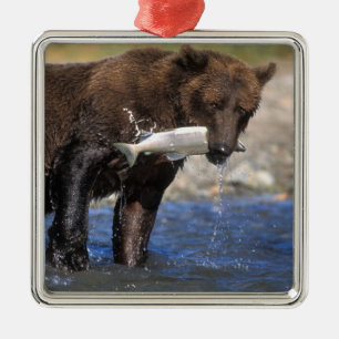 Braunbär, Grizzlybär, mit Lachsfang, Silbernes Ornament