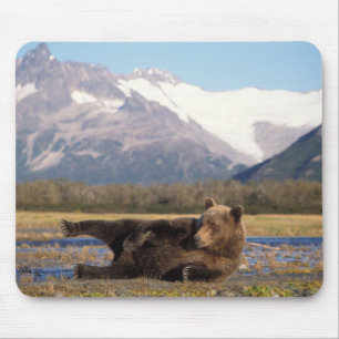 Braunbär, Grizzlybär reckt sich auf dem Rücken Mousepad
