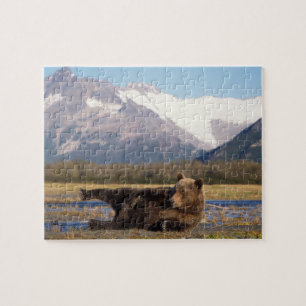 Braunbär, Grizzlybär reckt sich auf dem Rücken Puzzle