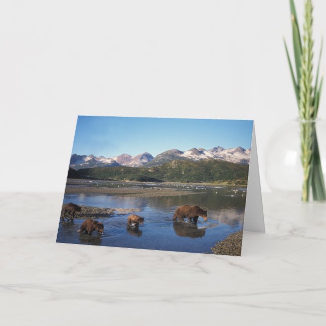 Braunbär, Grizzlybär, Sau und Junge herein Karte (Vorderseite)