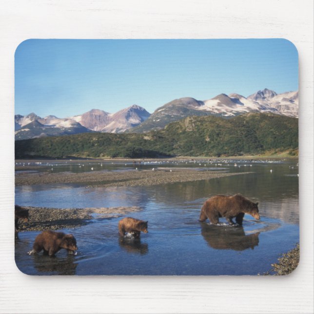 Braunbär, Grizzlybär, Sauen und Naben in Mousepad (Vorne)