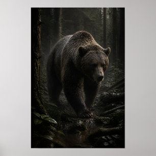 Braunbär im schattigen immergrünen Wald-Wildleben  Poster