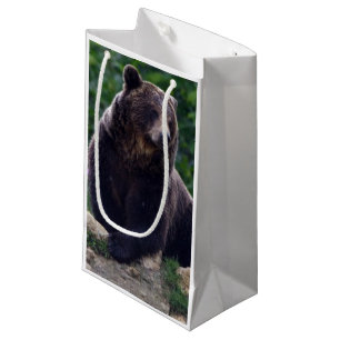 Braunbär Kleine Geschenktüte