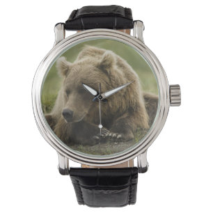 Braunbär, oder Küsten-Grizzlybär, Ursus Armbanduhr