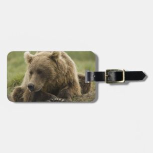 Braunbär, oder Küsten-Grizzlybär, Ursus Gepäckanhänger
