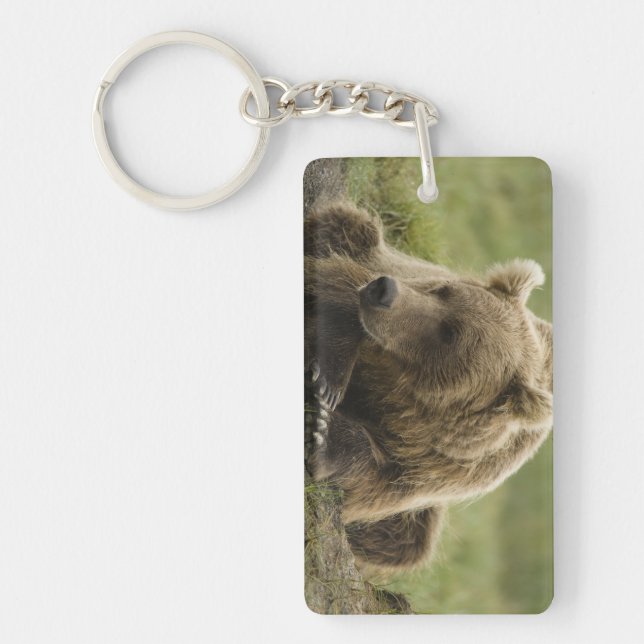 Braunbär oder Küstenbär, Ursus Schlüsselanhänger (Vorderseite)