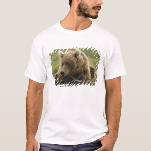 Braunbär oder Küstenbär, Ursus T-Shirt
