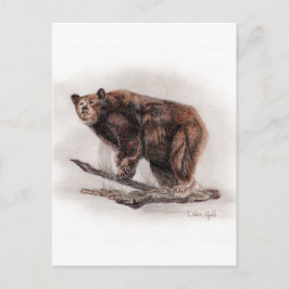 Braunbär Postkarte