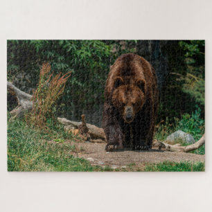 Braunbär Puzzle