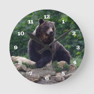 Braunbär Runde Wanduhr