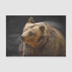 Braunbär Seidenpapier