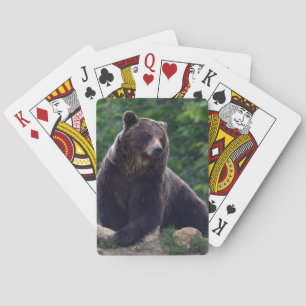 Braunbär Spielkarten