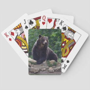 Braunbär Spielkarten