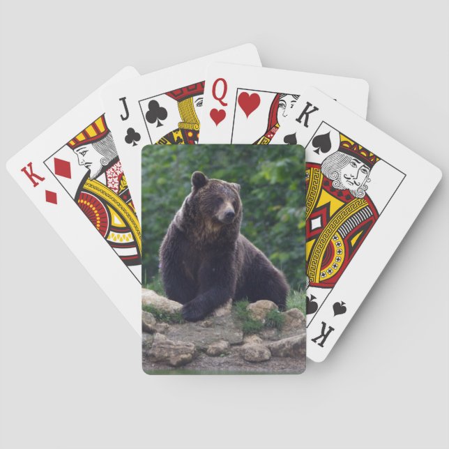 Braunbär Spielkarten (Rückseite)