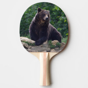 Braunbär Tischtennis Schläger