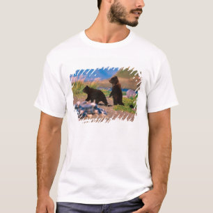 Braunbär, Ursus arctos, Alaska-Halbinsel, T-Shirt