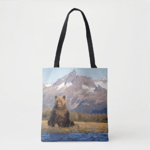 Braunbär, Ursus arctos, Grizzlybär, Ursus