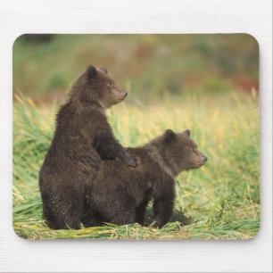 Braunbär, Ursus arctos, Grizzlybär, Ursus 2 Mousepad