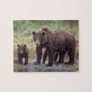 Braunbär, Ursus arctos, Grizzlybär, Ursus 3 Puzzle