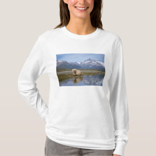 Braunbär, Ursus arctos, Grizzlybär, Ursus 4 T-Shirt