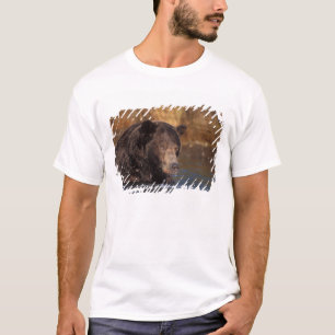 Braunbär, Ursus arctos, Grizzlybär, Ursus 5 T-Shirt