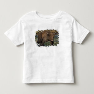 Braunbär, Ursus arctos, Grizzlybär, Ursus 6 Kleinkind T-shirt