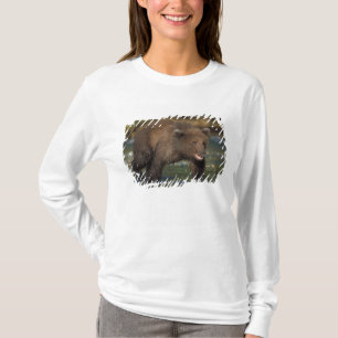 Braunbär, Ursus arctos, Grizzlybär, Ursus 6 T-Shirt