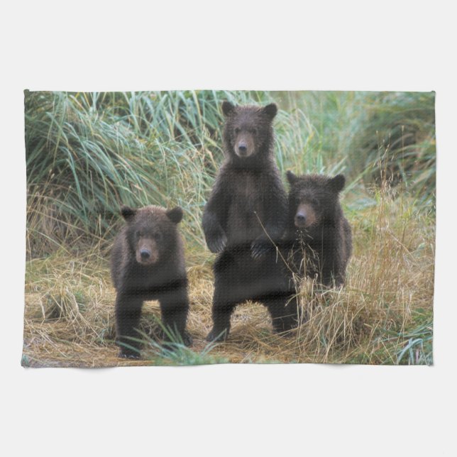 Braunbär, Ursus arctos, Grizzlybär, Ursus 7 2 Küchentuch (Horizontal)