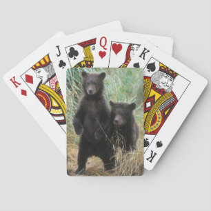 Braunbär, Ursus arctos, Grizzlybär, Ursus 7 2 Spielkarten