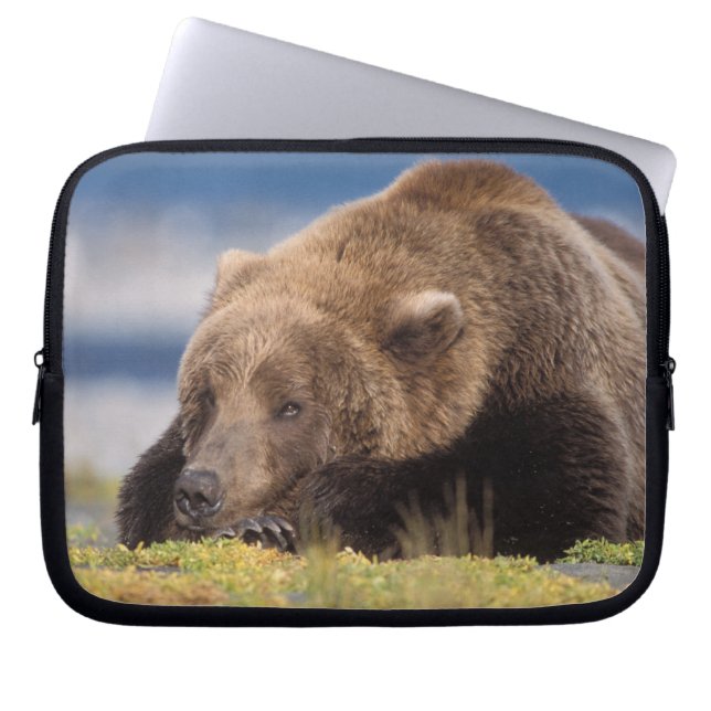 Braunbär, Ursus arctos, Grizzlybär, Ursus 8 Laptopschutzhülle (Vorderseite)