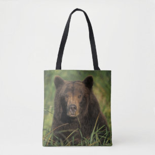 Braunbär, Ursus arctos, Grizzlybär, Ursus 9