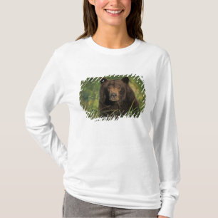 Braunbär, Ursus arctos, Grizzlybär, Ursus 9 T-Shirt