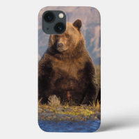 Braunbär, Ursus arctos, Grizzlybär, Ursus