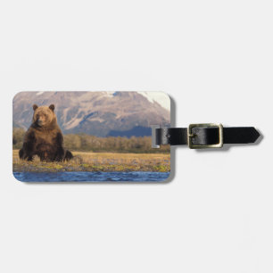Braunbär, Ursus arctos, Grizzlybär, Ursus Gepäckanhänger