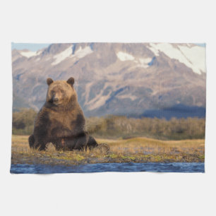 Braunbär, Ursus arctos, Grizzlybär, Ursus Geschirrtuch