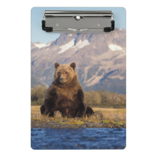 Braunbär, Ursus arctos, Grizzlybär, Ursus Mini Klemmbrett