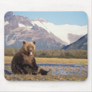 Braunbär, Ursus arctos, Grizzlybär, Ursus Mousepad
