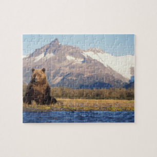 Braunbär, Ursus arctos, Grizzlybär, Ursus Puzzle