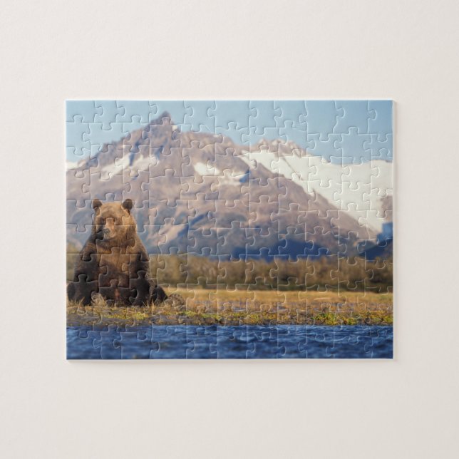 Braunbär, Ursus arctos, Grizzlybär, Ursus Puzzle (Horizontal)