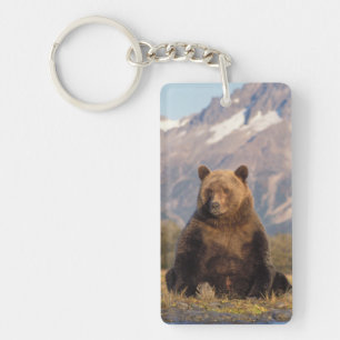 Braunbär, Ursus arctos, Grizzlybär, Ursus Schlüsselanhänger