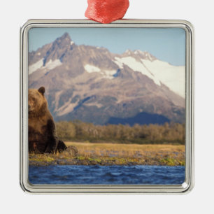 Braunbär, Ursus arctos, Grizzlybär, Ursus Silbernes Ornament