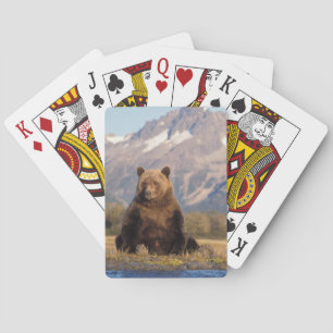 Braunbär, Ursus arctos, Grizzlybär, Ursus Spielkarten