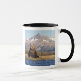 Braunbär, Ursus arctos, Grizzlybär, Ursus Tasse