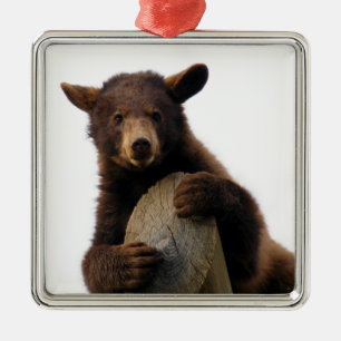 Braunbär-Weihnachtsverzierung Ornament Aus Metall