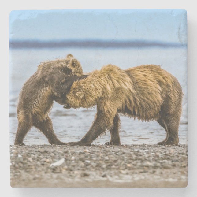 Braunbären Steinuntersetzer (Vorderseite)