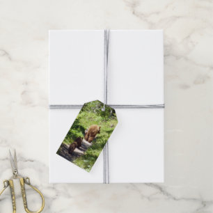 Braunbärenfamilie Geschenkanhänger