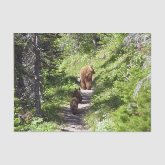 Braunbärenfamilie Seidenpapier (Vorderseite)